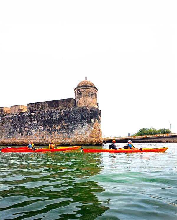 City Tour kayak3-1