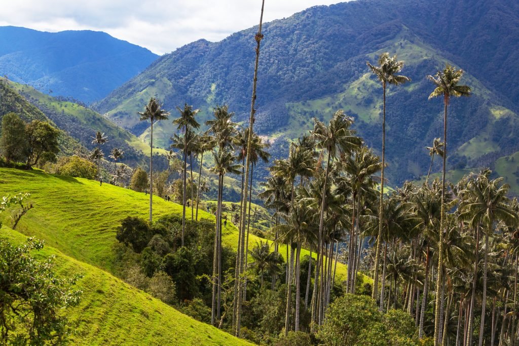 tours en Colombia, paquetes de viaje baratos, organizar viaje