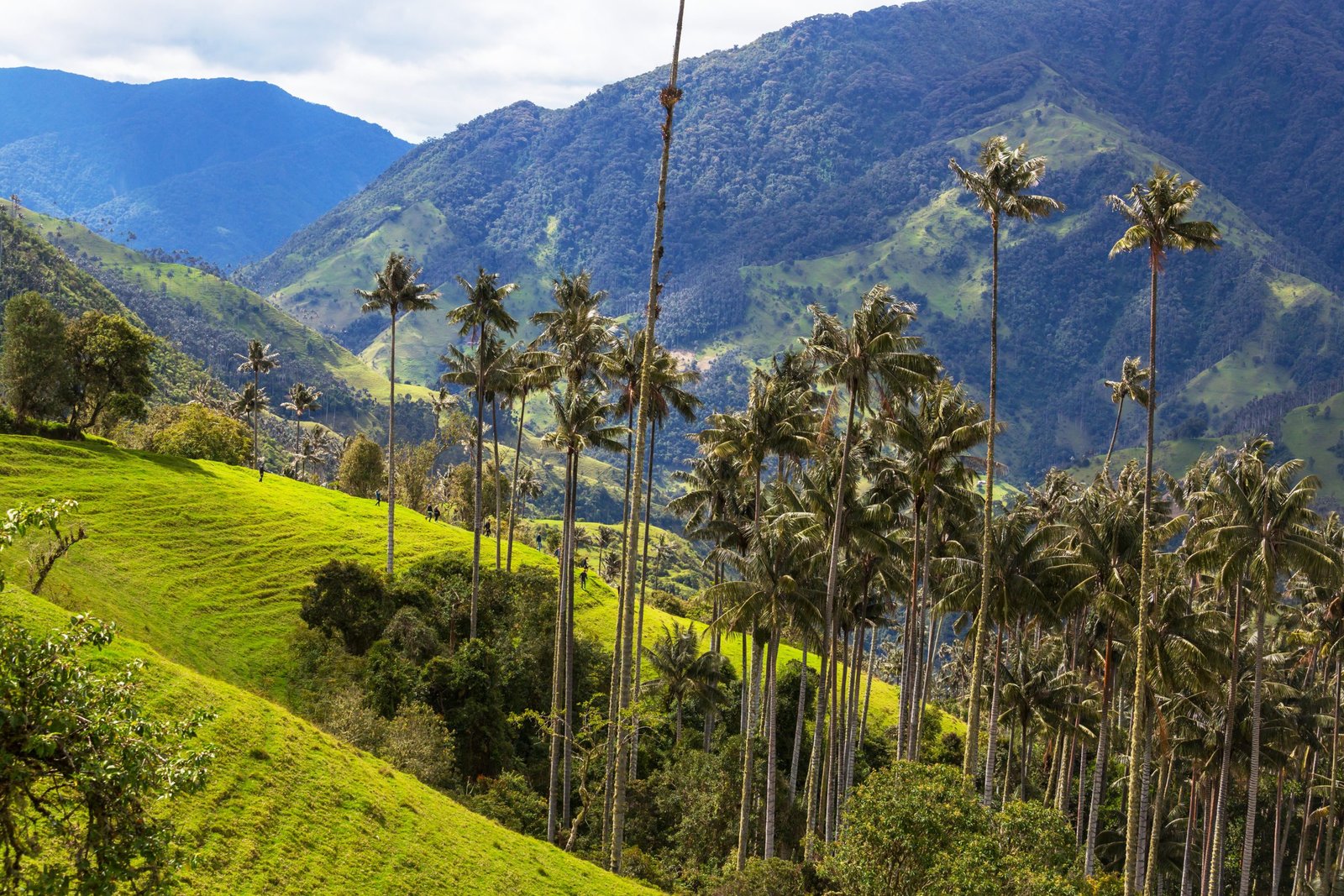 tours en Colombia, paquetes de viaje baratos, organizar viaje, viajes personalizados