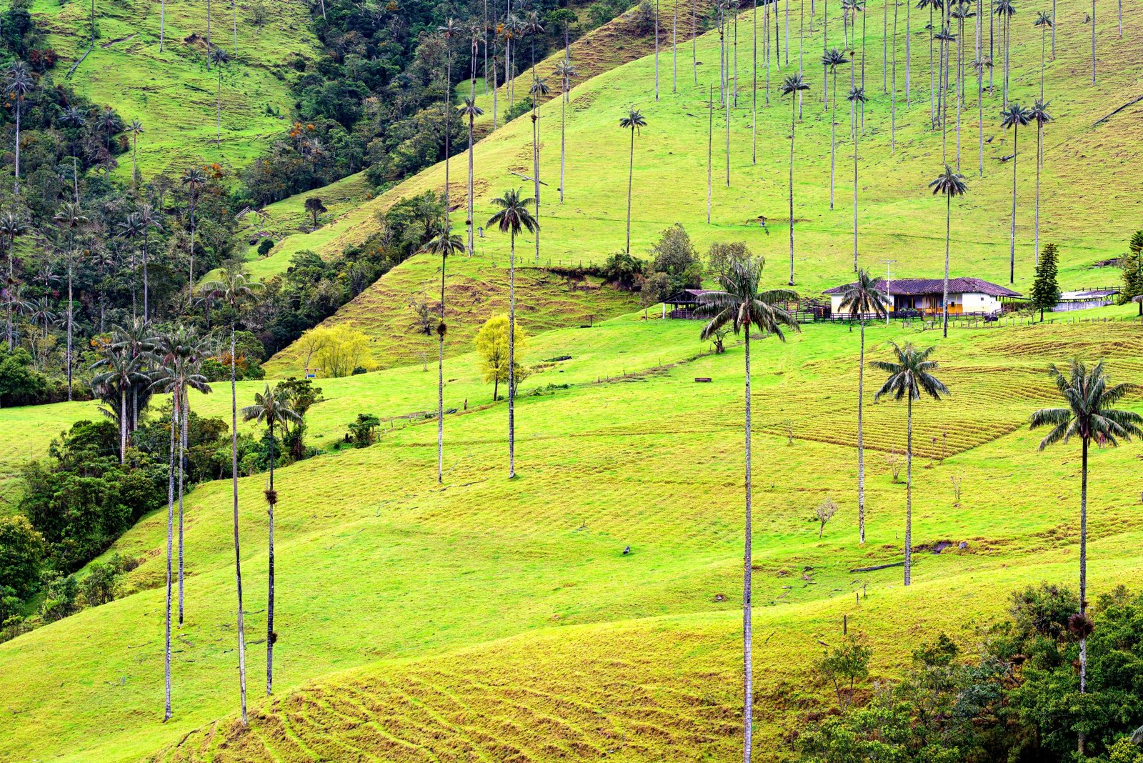 Lugares turísticos de Colombia, destinos turísticos Colombia