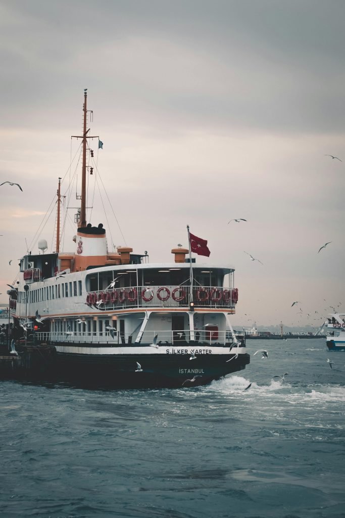 Ferry on Istanbul's harbor, surrounded by seagulls on a cloudy day, showcasing maritime transportation, cruceros