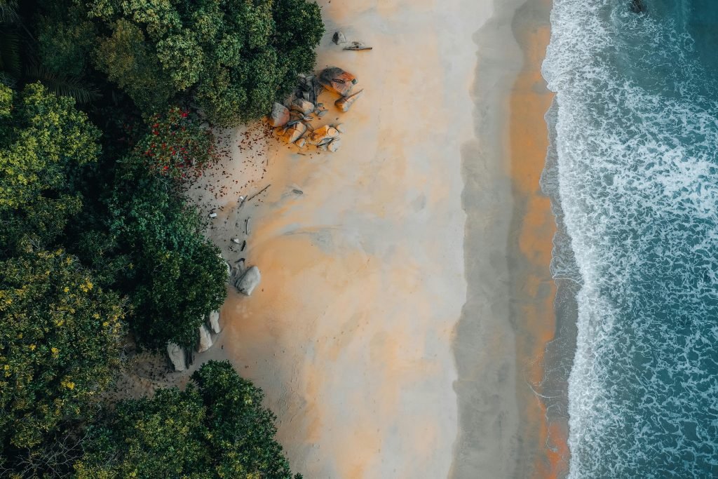 Stunning aerial view of a sandy beach bordered by lush greenery and gentle waves., Tayrona