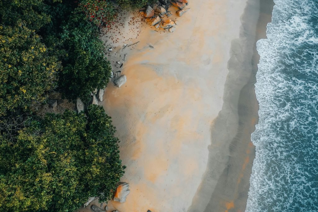 Discover the beauty of a secluded beach with lush greenery from an aerial perspective. Perfect serenity and untouched nature., Tayrona