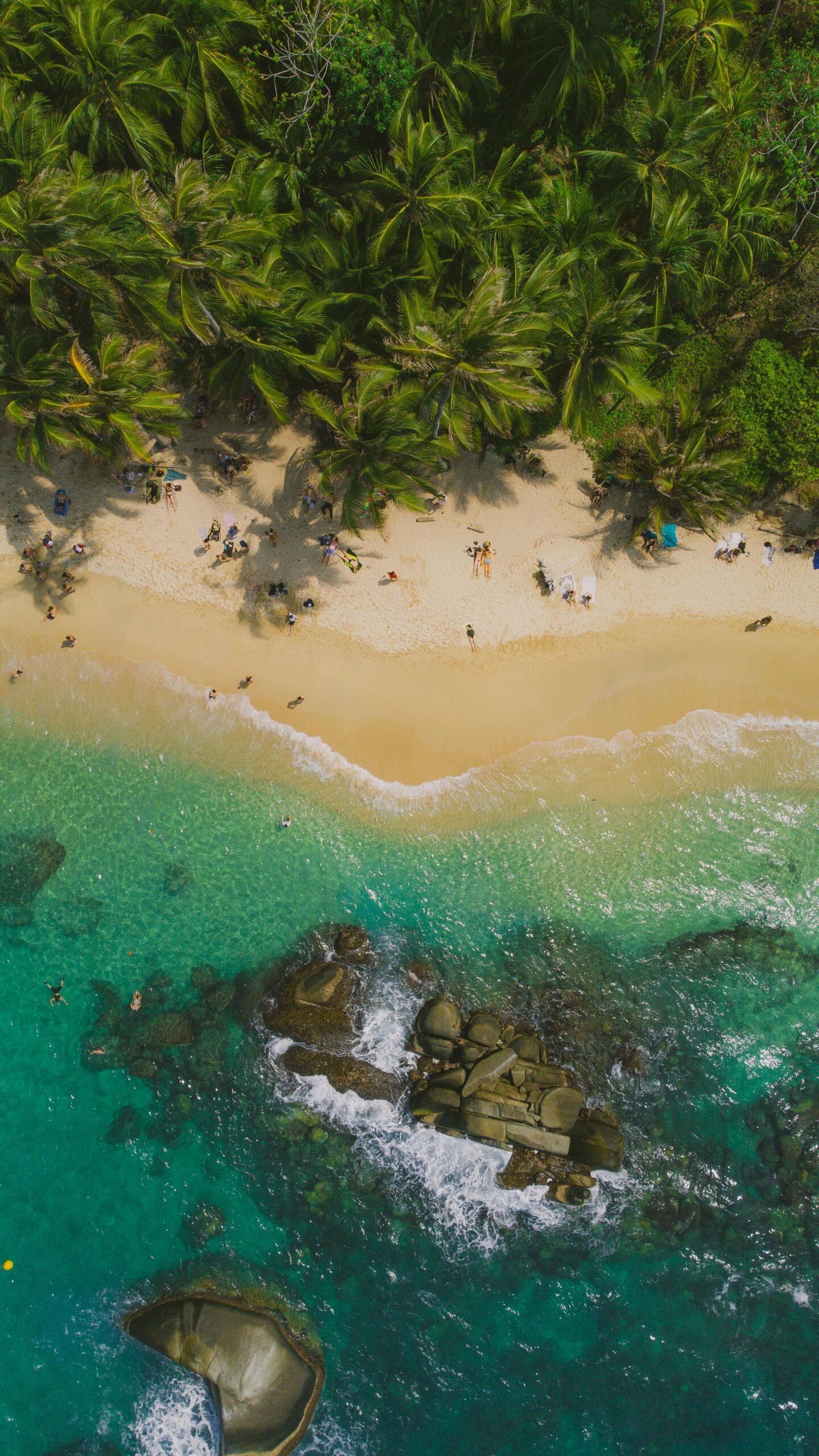 Discover this breathtaking aerial view of a tropical beach in Colombia, showcasing turquoise waters and lush palm trees.