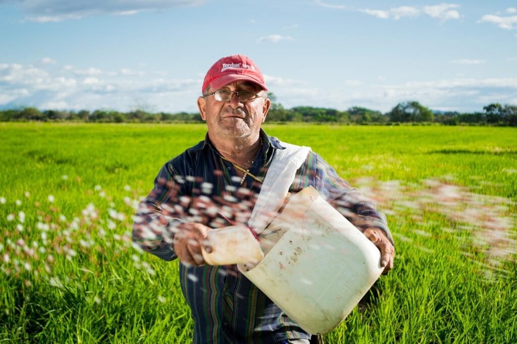 man, farmer, rice fields, rice crops, colombia, field, neiva, rice, farming, sowing, agriculture, cultivation, farmland, rural, countryside, farmer, farmer, farmer, farmer, farmer, Itinerario Colombia