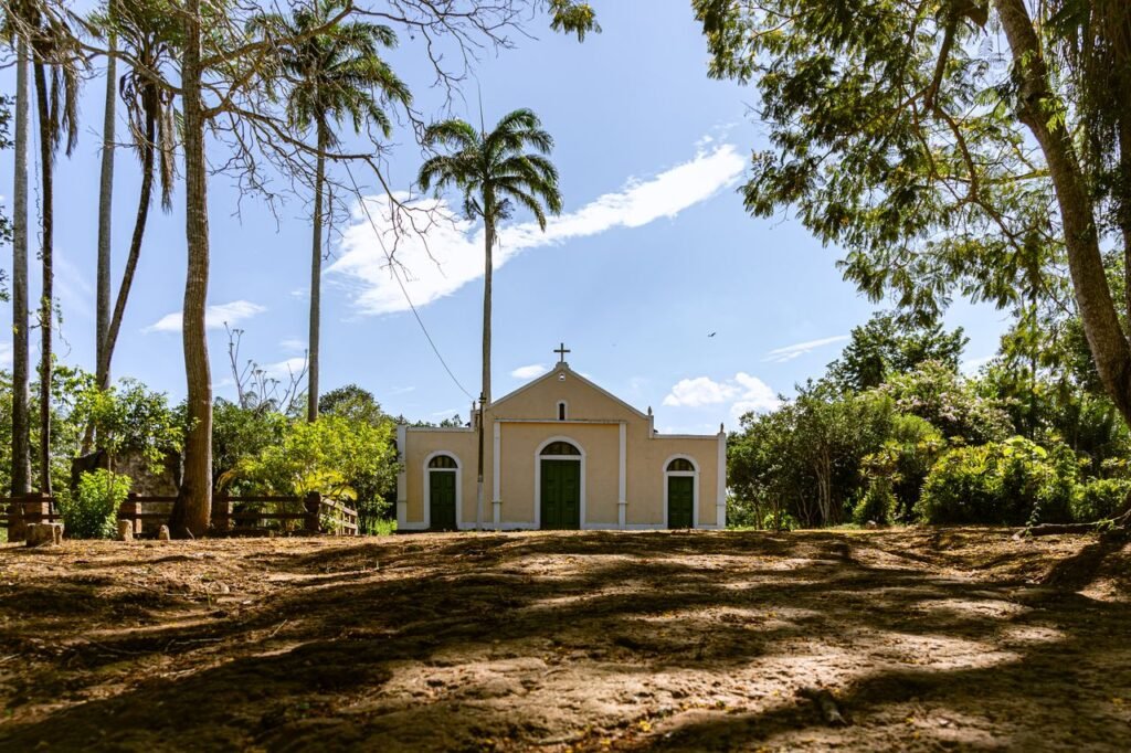A picturesque church in Buenos Aires, Brazil, framed by tall palm trees under a bright blue sky., Guaviare