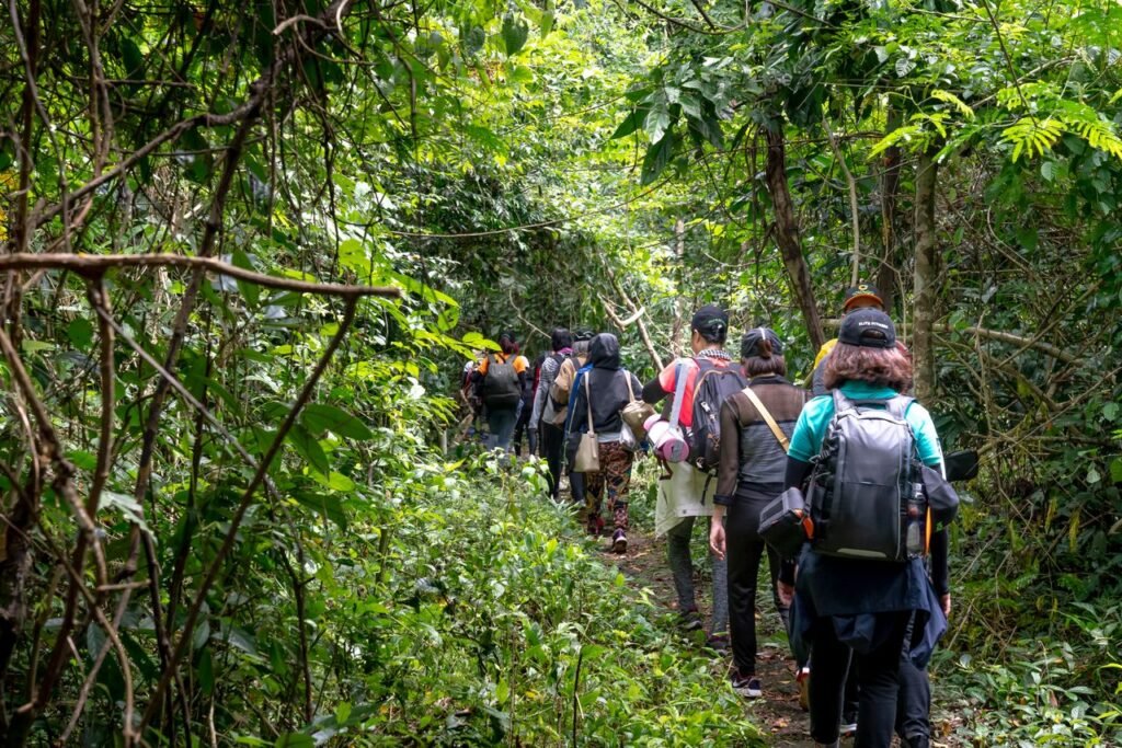 Back view of unrecognizable backpackers strolling on pathway between lush greenery in tropical woods, Trekking en Colombia